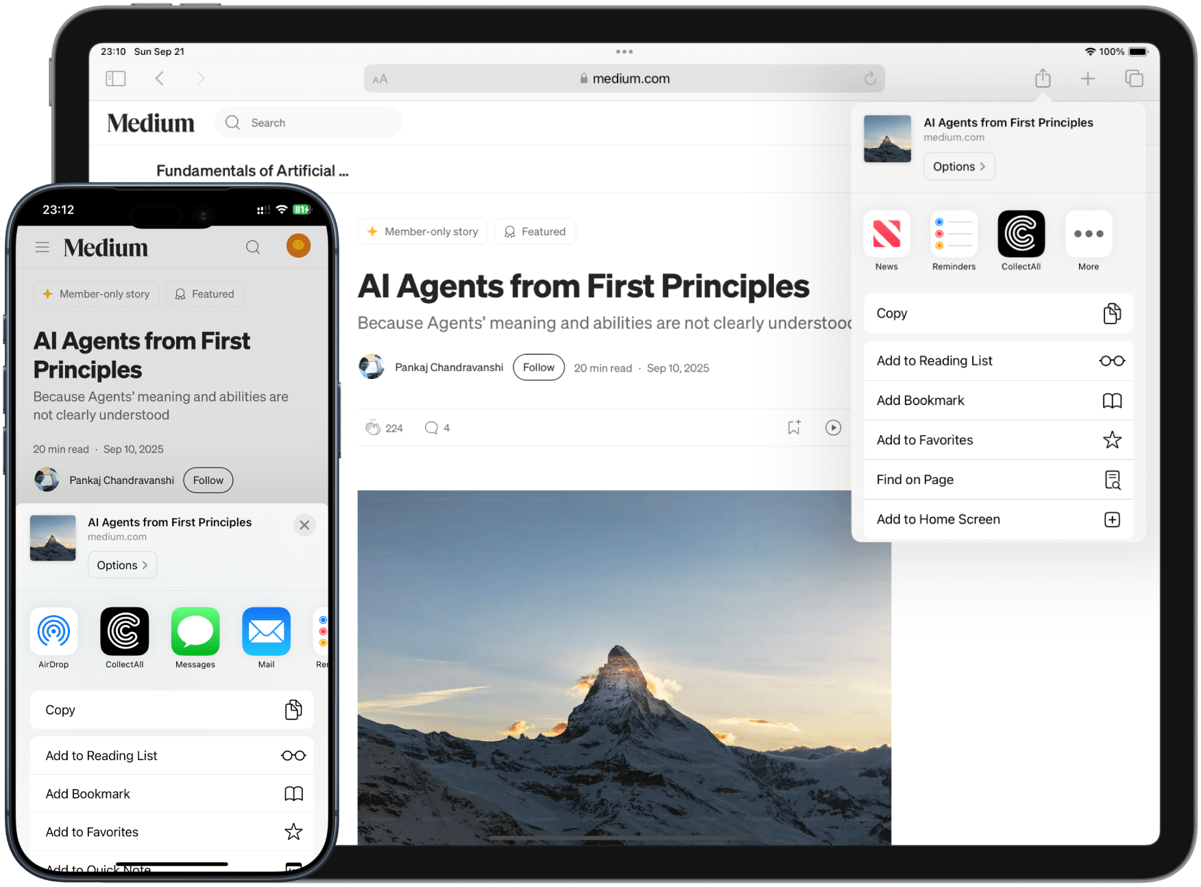 Safari 网页扩展截图